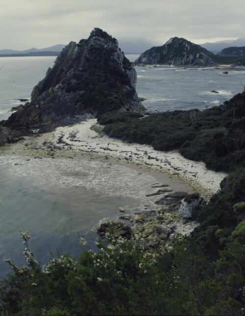 South coast, Tasmania, 1978? [transparency] / Peter Dombrovskis