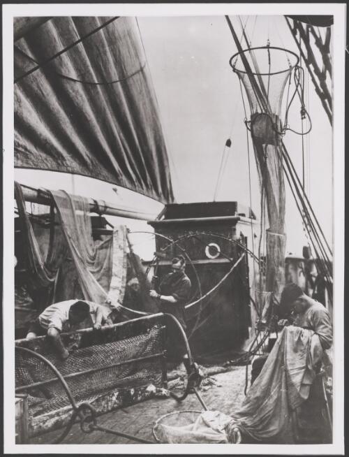 Sailors on the Discovery overhauling dredging and plankton nets, 1930? [picture] / Frank Hurley