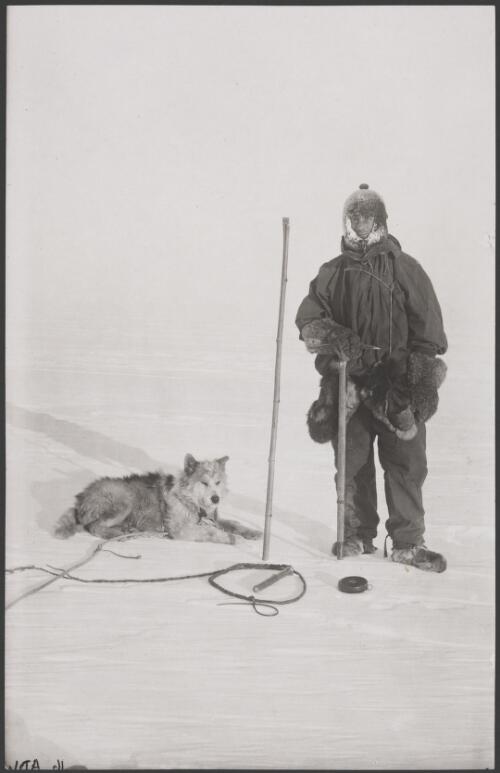Hoadley at measuring snowfall by pole, Antarctica, ca. 1912 [picture] / Andrew D. Watson