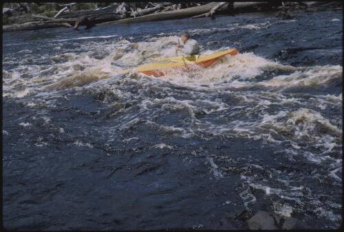 Olegas Truchanas in his kayak, Huon River, southwest Tasmania, 1962?, 1 [transparency] / Peter Dombrovskis