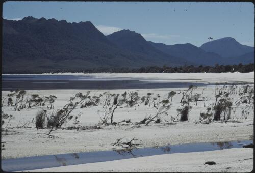 White sand of Lake Pedder with the Frankland Range in the background, southwest Tasmania, 1971 [transparency] / Peter Dombrovskis