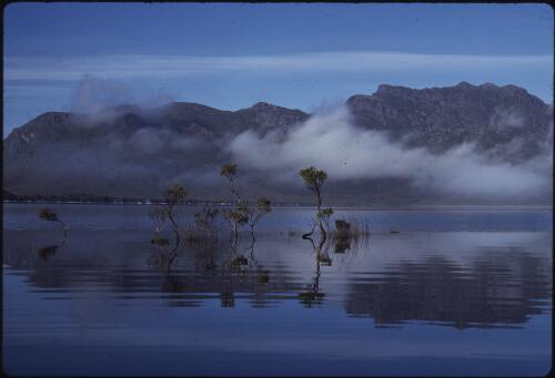 Mist on Lake Pedder with the Frankland Range in background, southwest Tasmania, 1971 [transparency] / Peter Dombrovskis