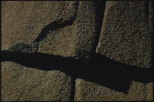 Rock detail, Mount Wellington, Tasmania, 1969? [transparency] / Peter Dombrovskis