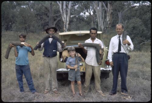 Richard King, Mr. Freddy Biggs, John Smith, Lance Johnson and Mr. Jack Smith with boomerangs, Murrin Bridge, New South Wales, 15 February 1960 [transparency] / Phil Wilding