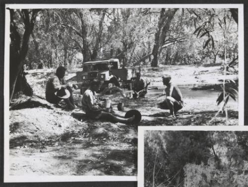 Men sharing a meal under the trees with Bill Wyatt on Mount Bundy, Northern Territory, 1945 [picture]