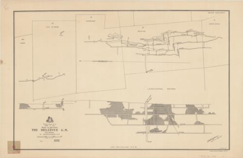 Plan & section of the Bellevue G.M., Sir Samuel E. Murchison G.F. [cartographic material] / Geological Survey of Western Australia