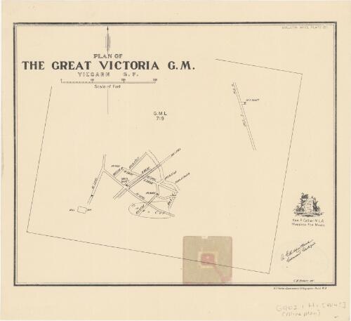 Plan of the Great Victoria G.M. Yilgarn G.F. [cartographic material]