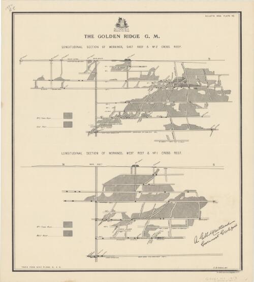 The Golden Ridge G.M. [cartographic material] : [East Coolgardie Gold Field, W.A.]