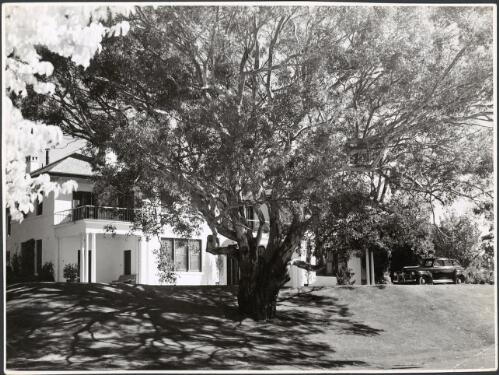 Exterior view of the front facade of the Prime Minister's Lodge, Canberra, ca. 1945 [picture] / Department of Information