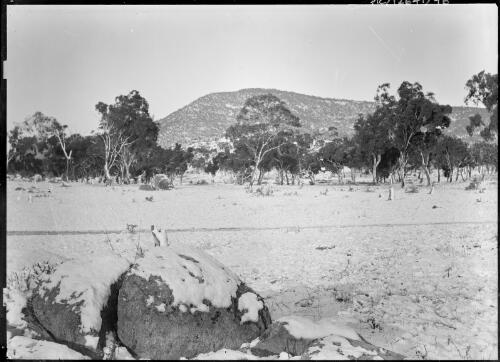 Snow at Cuppacumbalong, Australian Capital Territory, ca. 1893 [picture]