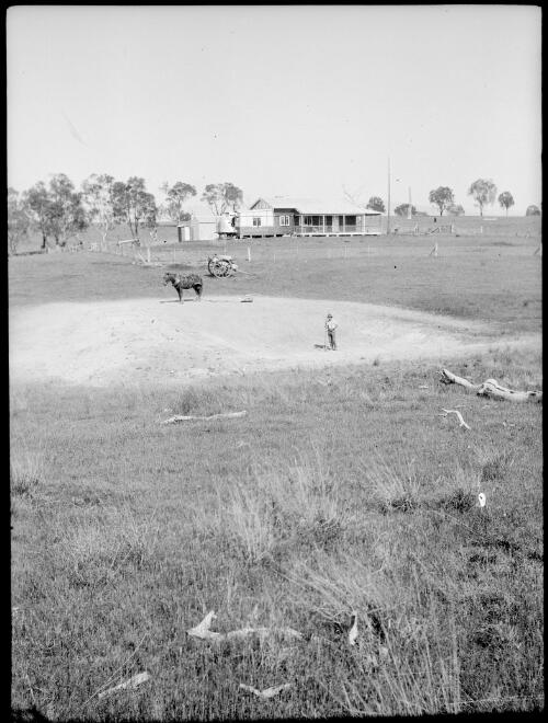 Man digging the dam at Pine Range, Australian Capital Territory, ca. 1926, 1 [picture]