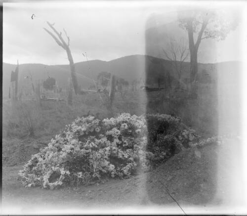 Flowers on the grave of Nina Farrer, behind Lambrigg homestead, Australian Capital Territory, 1929 [picture]