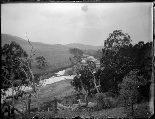 View through the trees of the Murrumbidgee River, Cuppacumbalong, Australian Capital Territory, ca. 1900 [picture]