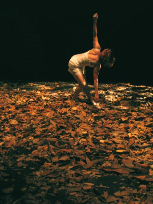 Avril Huddy dancing in leaves in the performance of Churchill's Black Dog at the Judith Wright Centre of Contemporary Arts, Brisbane, April 2005 [picture] / Fiona Cullen