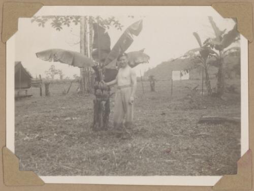 Fred by a banana palm, Lae, Papua New Guinea, 1945 [picture] / Alfred Amos