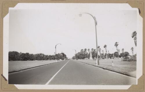 Riverside Drive[?], Perth, Western Australia, October 1946 [picture] / Alfred Amos