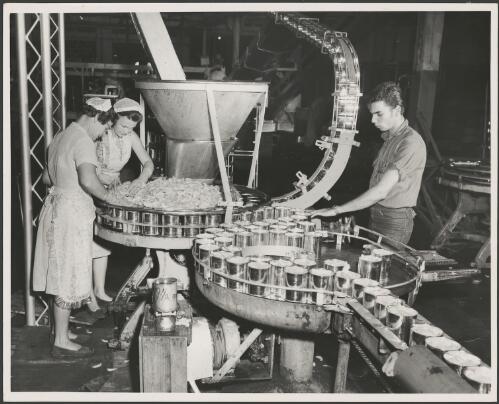 Workers supervising peach slicing and canning process at Leeton Co-operative Cannery, Leeton, New South Wales, ca. 1960 [picture]
