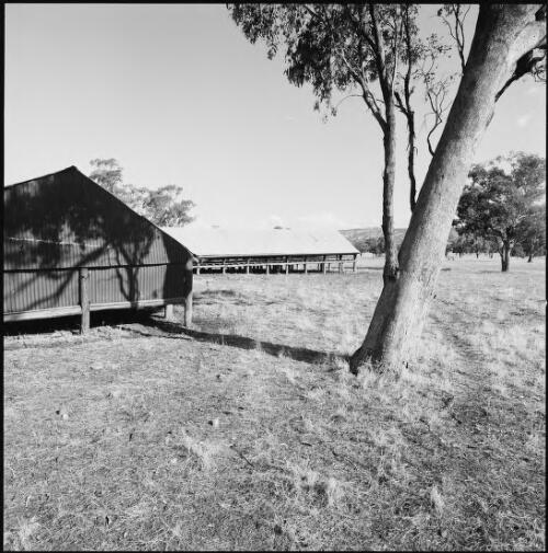 Angled view of woolshed at Kings Plain Station, Northern New South Wales, ca. 1970 [picture] / Wes Stacey