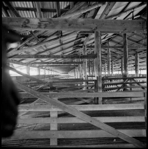 Interior shelter of woolshed at Warrah, Willow Tree, New South Wales, ca. 1970 [picture] / Wes Stacey