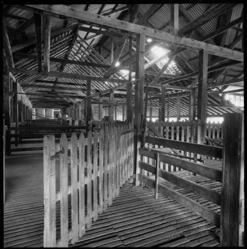 Swing gate and interior of woolshed at Warrah, Willow Tree, New South Wales, ca. 1970 [picture] / Wes Stacey