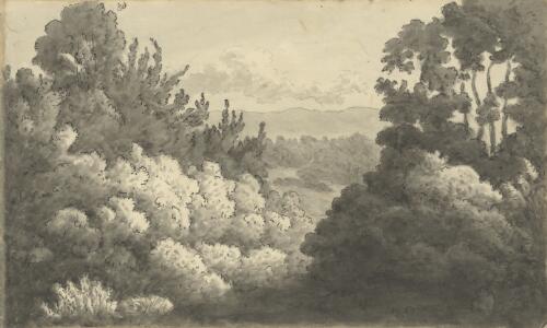 Bushy landscape, Evandale?, Tasmania, ca. 1850 [picture] / John Richardson Glover