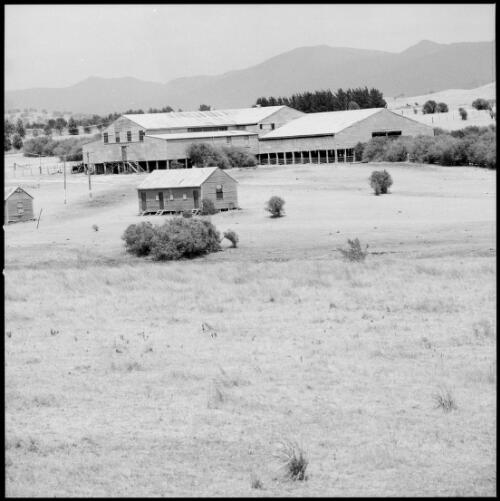 Woolshed from a distance, Yarralumla, Australian Capital Territory, ca. 1970 [picture] / Wes Stacey