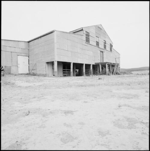 Angled view of woolshed, Yarralumla, Australian Capital Territory, ca. 1970 [picture] / Wes Stacey