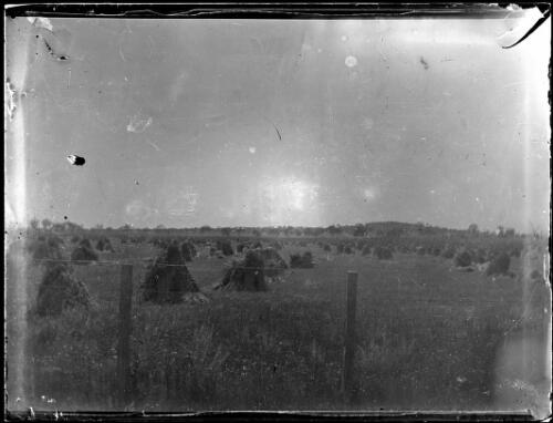Crops at Yathella, New South Wales, 1915 [picture] / Abraham Valentine Booth