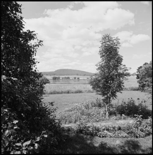 Landscape view over lake to Ellenthorpe Hall, Ross, Tasmania, ca. 1970 [picture] / Wes Stacey