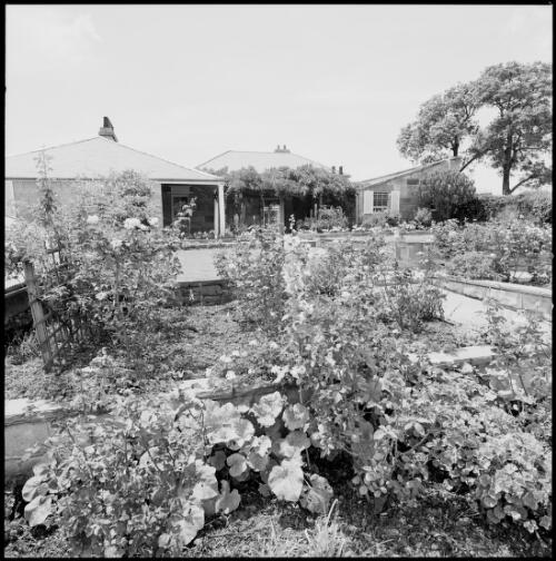 Rear courtyard at Fernhill Homestead, Mulgoa, New South Wales, ca. 1970 [picture] / Wes Stacey