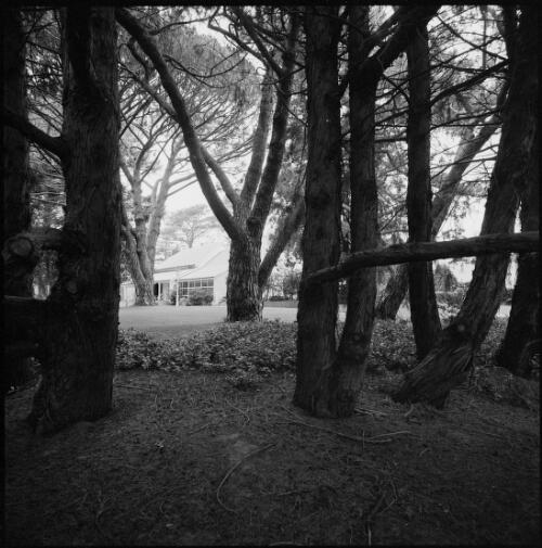 Distant angled view through trees of Lanyon Homestead, Tharwa, Australian Capital Territory, ca. 1970 [picture] / Wes Stacey