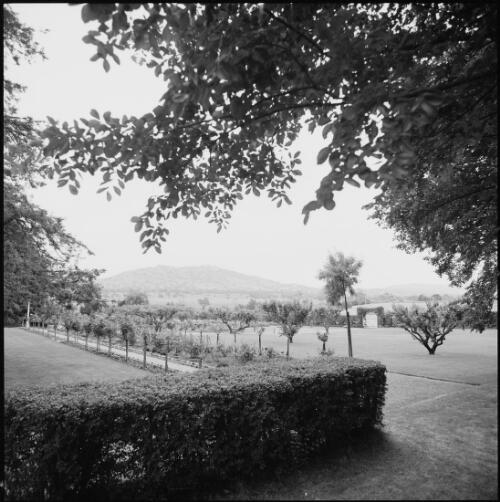 Rose garden and hedges at Lanyon Homestead, Tharwa, Australian Capital Territory, ca. 1970 [picture] / Wes Stacey