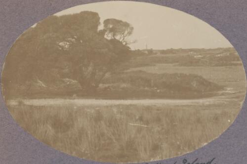 Landscape on Rottnest Island, Western Australia, 1914 [picture] / Karl Lehmann