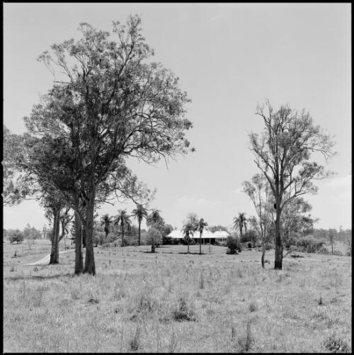 Distant view of Mundoolun Homestead, Beaudesert, Queensland, ca. 1970 [picture] / Wes Stacey