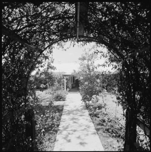 View from garden of Mundoolun Homestead, Beaudesert, Queensland, ca. 1970 [picture] / Wes Stacey