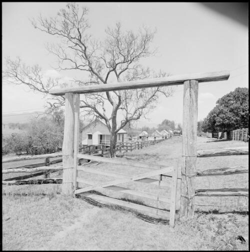 Gateway and farm buildings at Mundoolun Homestead, Beaudesert, Queensland, ca. 1970 [picture] / Wes Stacey