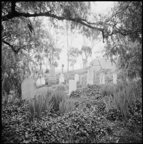 Family cemetery at Naringal homestead, Wallinduc, Victoria, ca. 1970 [picture] / Wes Stacey