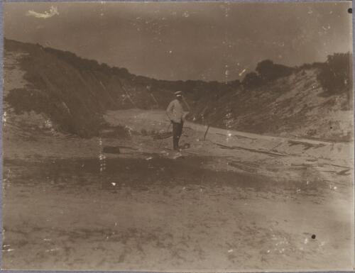 Path on the outskirts of the camp, Rottnest Island, Western Australia, ca. 1915 [picture] / Karl Lehmann