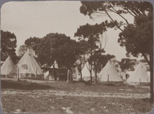 View of the tents in the camp, Rottnest Island, Western Australia, ca. 1915, 2 [picture] / Karl Lehmann
