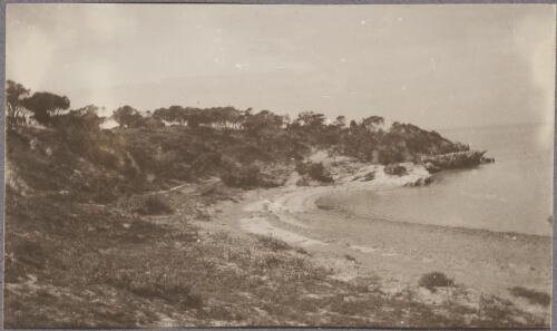 Shoreline on Rottnest Island, Western Australia, ca. 1915 [picture] / Karl Lehmann