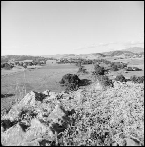 Belltrees Homestead from the overlooking hill, Scone, New South Wales, ca. 1970 [picture] / Wes Stacey