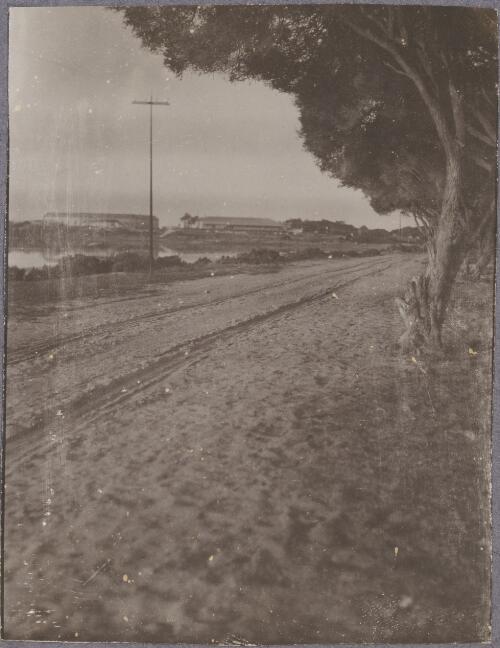 The entrance road, Rottnest Island, Western Australia, ca. 1915 [picture] / Karl Lehmann