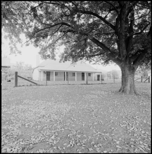 Three room worker's cottage at Belltrees, Scone, New South Wales, ca. 1970 [picture] / Wes Stacey