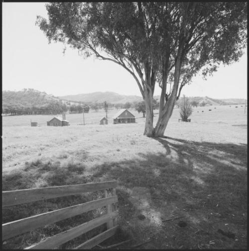 Paddocks with a cottage and shed at Belltrees, Scone, New South Wales, ca. 1970 [picture] / Wes Stacey
