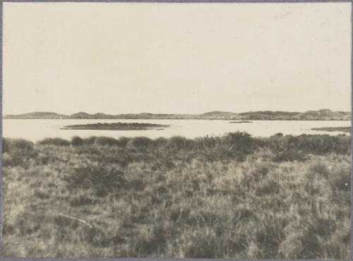 Breeding ground for swallows on an island in the middle of a salt lake, Rottnest Island, Western Australia, ca. 1915 [picture] / Karl Lehmann