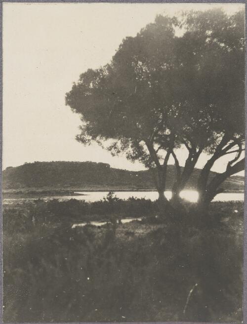 Scenery around the salt lakes, Rottnest Island, Western Australia, ca. 1915, 1 [picture] / Karl Lehmann