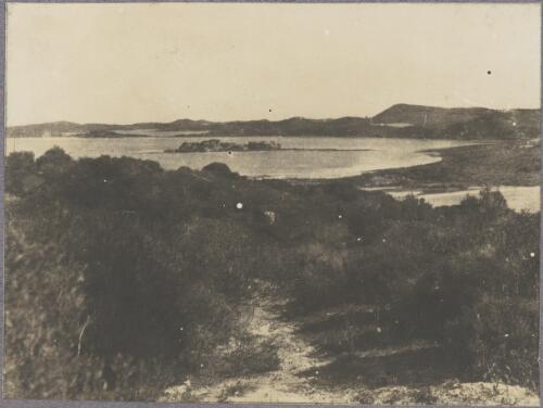 Path leading down to the salt lakes, Rottnest Island, Western Australia, ca. 1915 [picture] / Karl Lehmann