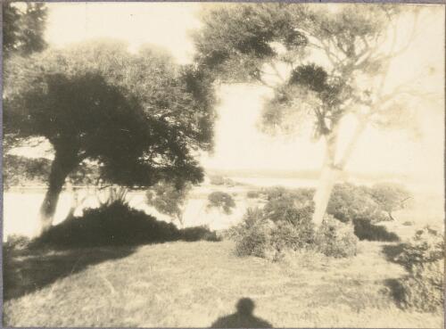 Near the shoreline of the salt lakes, Rottnest Island, Western Australia, ca. 1915 [picture] / Karl Lehmann