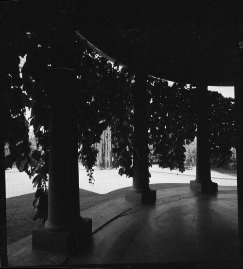 Vine covered entrance porch of Dobikin Homestead, Moree, New South Wales, ca. 1970 [picture] / Wes Stacey