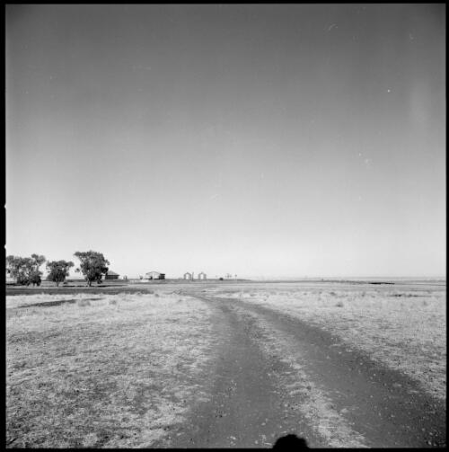 Dirt track leading to distant farm buildings at Dobikin, Moree, New South Wales, ca. 1970 [picture] / Wes Stacey